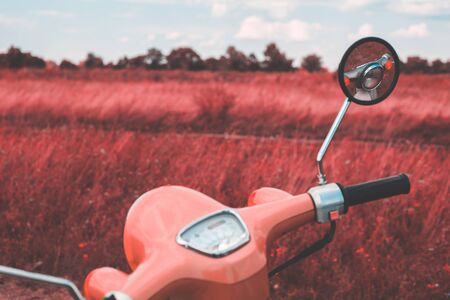 Pink vintage motorbike in the fieldの写真素材