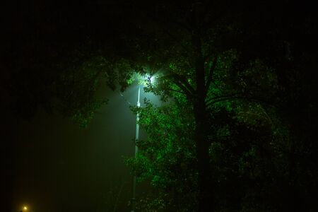 Lantern at night in the fog in the cityの写真素材