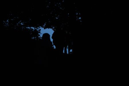 Silhouette of people on the background of trees in the evening