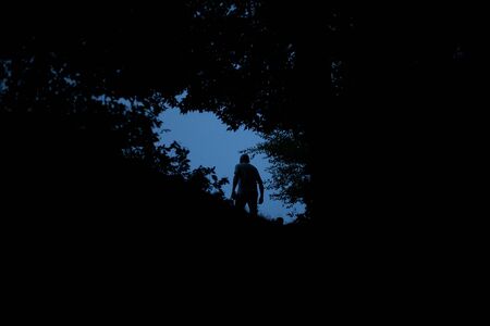 Silhouette of people on the background of trees in the eveningの写真素材