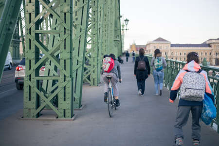 Nineteenth Century Old Metalic Green Freedom European Bridge in Budapestのeditorial素材