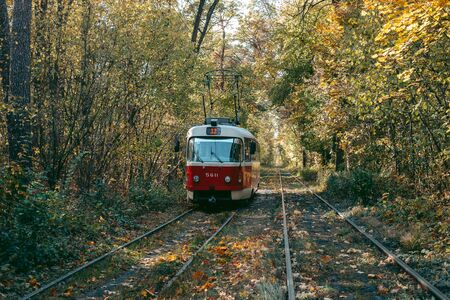 Old red tram in the autumn forest