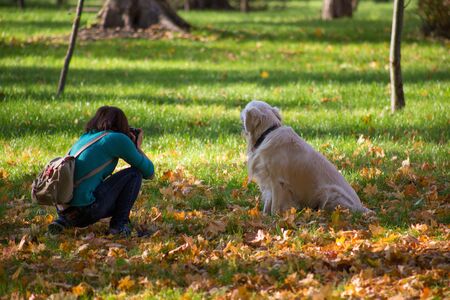 Girl photographs a Labrador in the park in autumnの写真素材