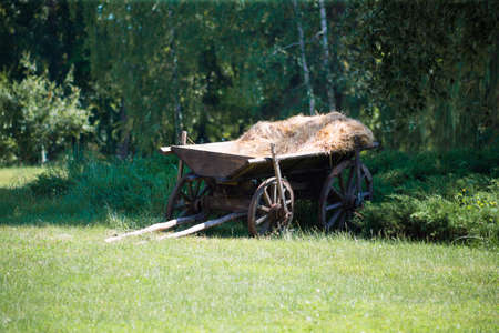 Old rural cart for hay on the grass