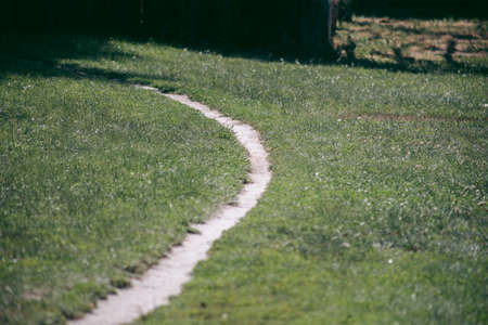 Beautiful wild eco environment near the cityの写真素材