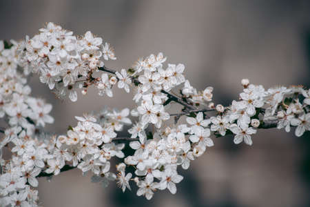 Beautiful wild eco environment near the cityの写真素材