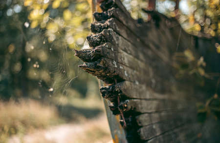 Old abandoned wooden bobsleigh track in summer by daylightの写真素材