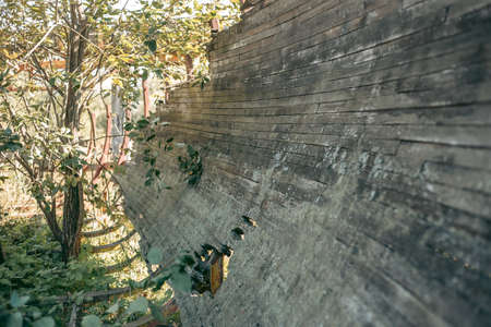 Old abandoned wooden bobsleigh track in summer by daylight