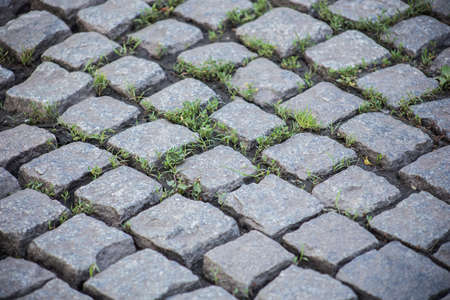 Paving stones on the street of a European cityの写真素材