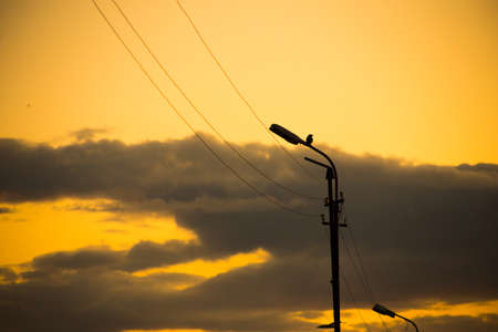 Wires to provide electricity to the cityの写真素材