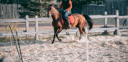 Man on horseback in medieval clothes