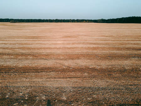 Aerial view of an open field during the dayの写真素材