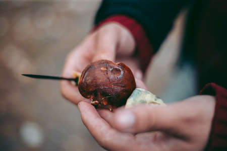 Edible mushroom in the hand of a man in the autumn forestの写真素材