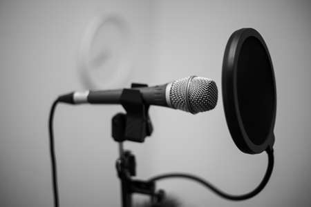 Professional microphone with pop filter for voice recording