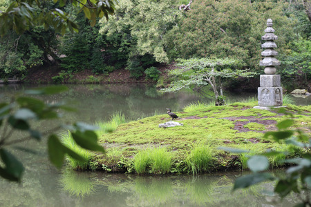 Peaceful view of a lake with still water in Kyoto, Japan