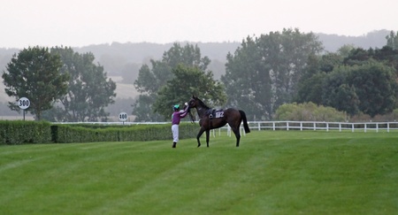 TRADITIONSRENNBAHN BAD DOBERAN, GERMANY - AUGUST 20: Jockey during the 2. qualifying race on August 20, 2010 in the scope of the "Ostsee-Meeting" at the traditional race course Bad Doberan (Germany) のeditorial素材