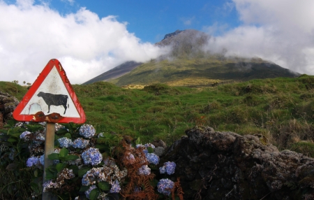 weathered sign in front of volcano Pico - Pico island, Azores Islandsの写真素材