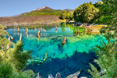 Lago Arcoiris at Conguillio NP, Chile - HDR panoramaの写真素材