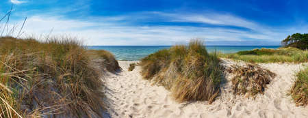 Way to Beach Weststrand at west coast of island DarÃŸ (Mecklenburg-Western Pommerania, Germany)