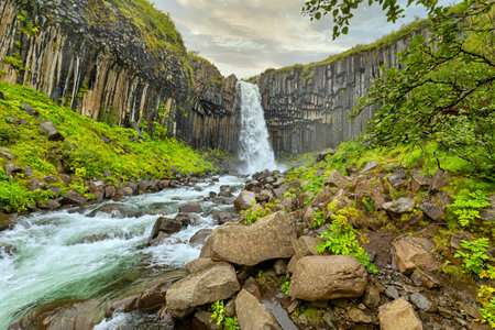 Waterfall Svartifoss at Vatnajokull National Park in Icelandの写真素材