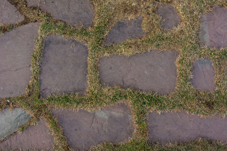 Garden path made of large stones. Natural stone path in the forest park.