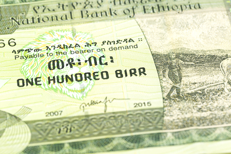 100 ethiopian birr note obverse detail