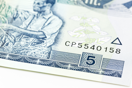 5 ethiopian birr note obverse detailの写真素材