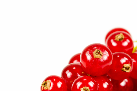 fresh redcurrant isolated on white background