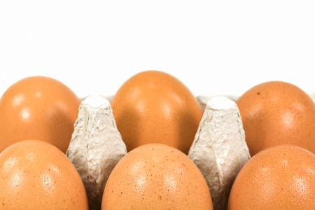 cardboard egg box with brown eggs isolated on white background