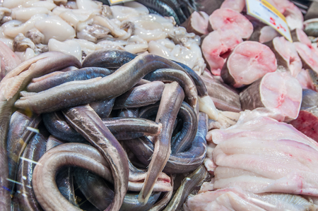 Eel at a fish market