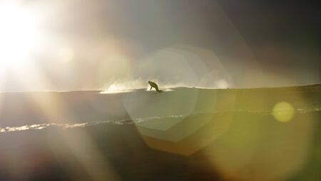 Snowboarder enjoying an early morning in slopes at the Austrian Alps with a nice sunshine flareの写真素材