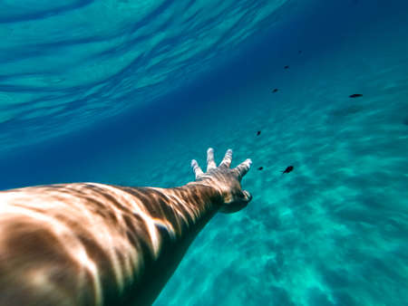 Male hand and arm reaching out for a damsel fish while diving in clear blue turquoise water.の写真素材