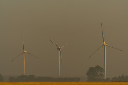 Wind turbines in morning haze at sunrise over the fields. . High quality photoの写真素材