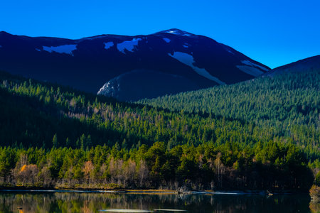 Calm lake surrounded by wild green pine forests and snowy mountain ranges in the distance. . High quality photoの写真素材