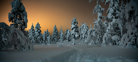 Serene winter wonderland with heavy snow on tall pine trees. Night photo. High quality photoの写真素材