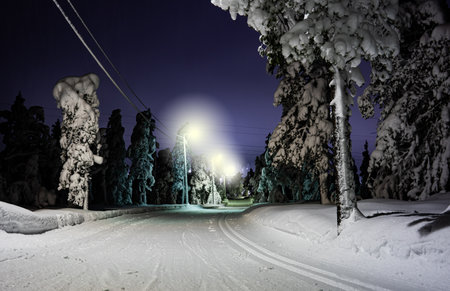 Cross country skiing trails through the forest at night, lit with lampposts along the track.の写真素材