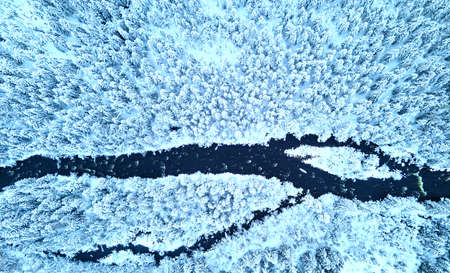 Cold river flowing through a dense snow covered pine forest in a wild winter wonderland. High...