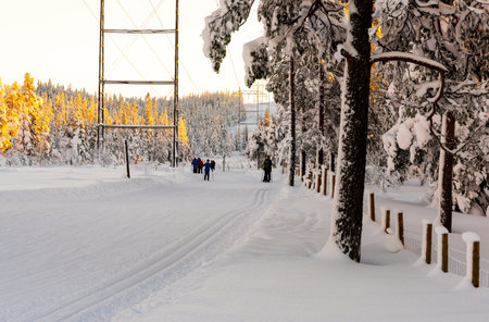 People cross country skiing through a snow covered forest. High quality photoのeditorial素材