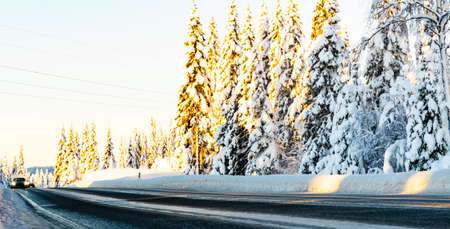 Traffic on an icy road running through a snow covered pine forest on a clear winters day. Shallow depth of field. High quality photoの写真素材