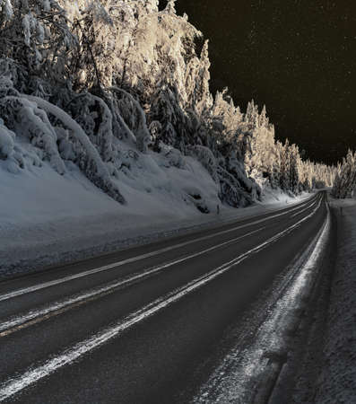 Highway through a wild snow covered arctic forest at night with stars on a clear sky. High quality photoの写真素材