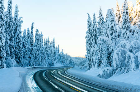 Icy and slippery highway through a forest with pine trees covered in heavy white snow. High quality photoの写真素材