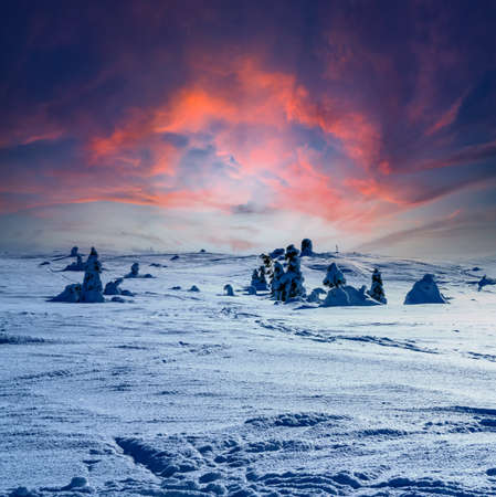 Snowy winter wonderland in the high mountains with orange clouds at sunset. High quality photoの写真素材