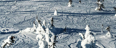 Panoramic view of off piste slopes with tracks from downhill skiers. High quality photoの写真素材