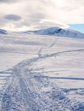 Ski trails on a snow covered mountain plain on a cold winters day. High quality photoの写真素材