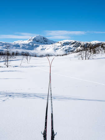 Skis stacked together in the snow with blurred snow capped mountains in the background. Shallow depth of field. High quality photoの写真素材
