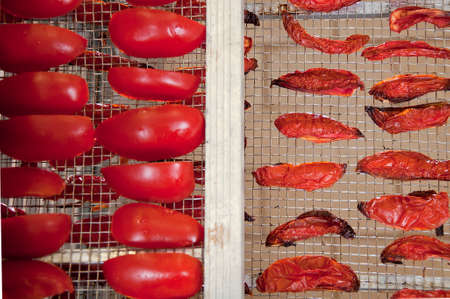 process of preparing dried tomatoes, image of the oven with dried tomatoes. before and after