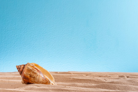 Beautiful seashell on the sand against a blue background , Abstract texture for design, copyspace,...