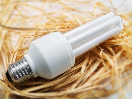 Low energy light bulbの写真素材