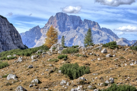 Dolomites hill with treeの写真素材