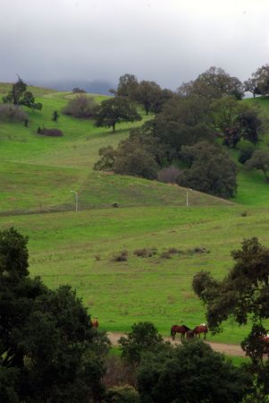 California hillsの写真素材